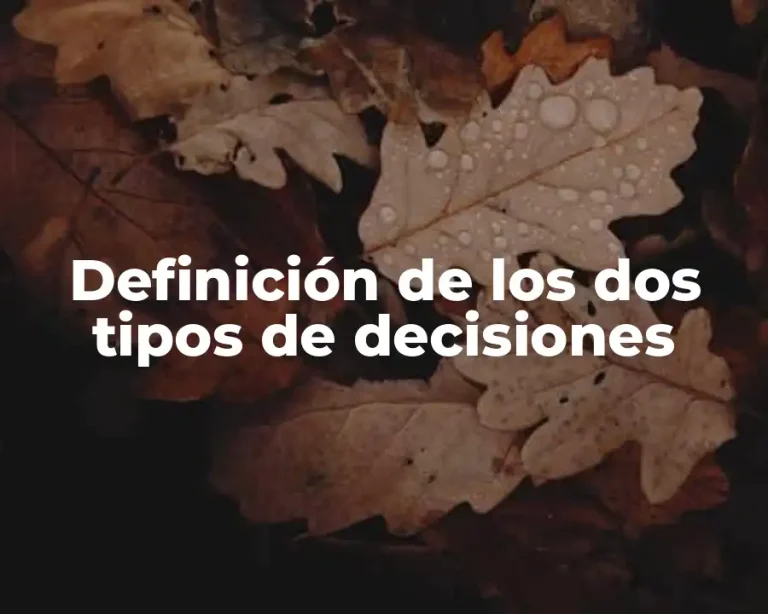 Definición de los dos tipos de decisiones