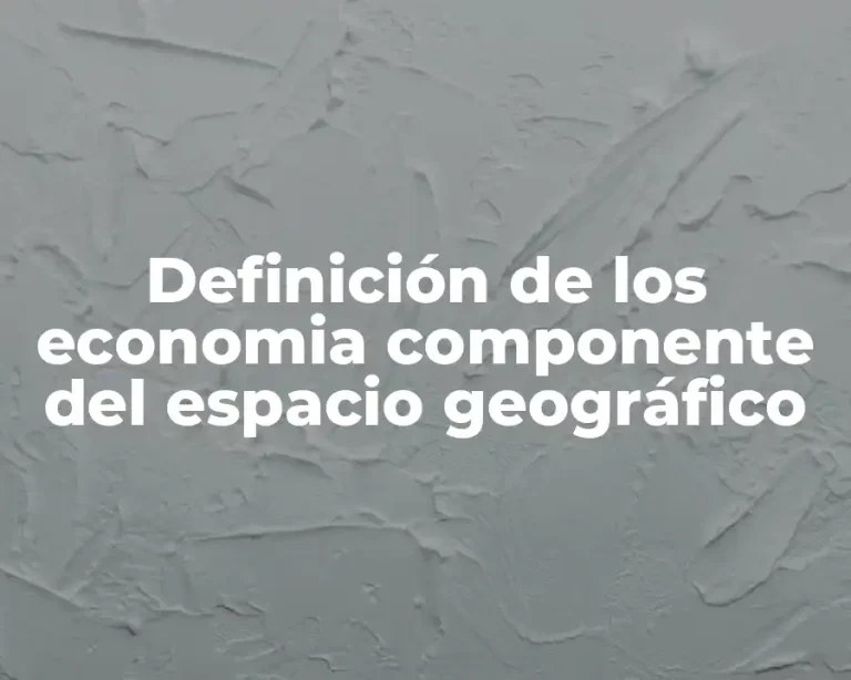 Definición de los economia componente del espacio geográfico