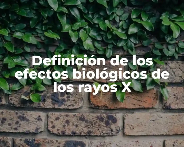 Definición de los efectos biológicos de los rayos X