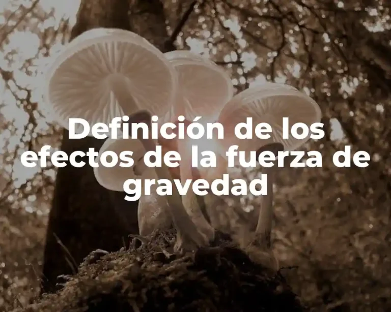 Definición de los efectos de la fuerza de gravedad