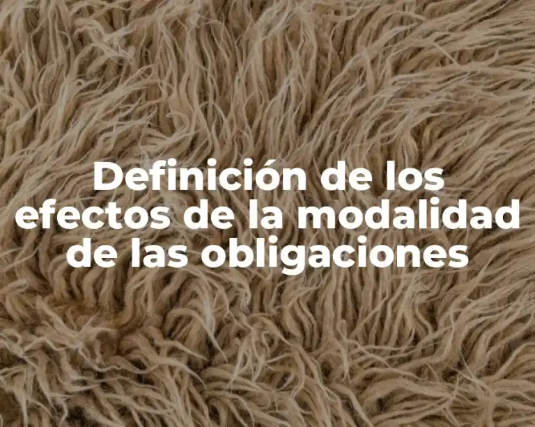 Definición de los efectos de la modalidad de las obligaciones