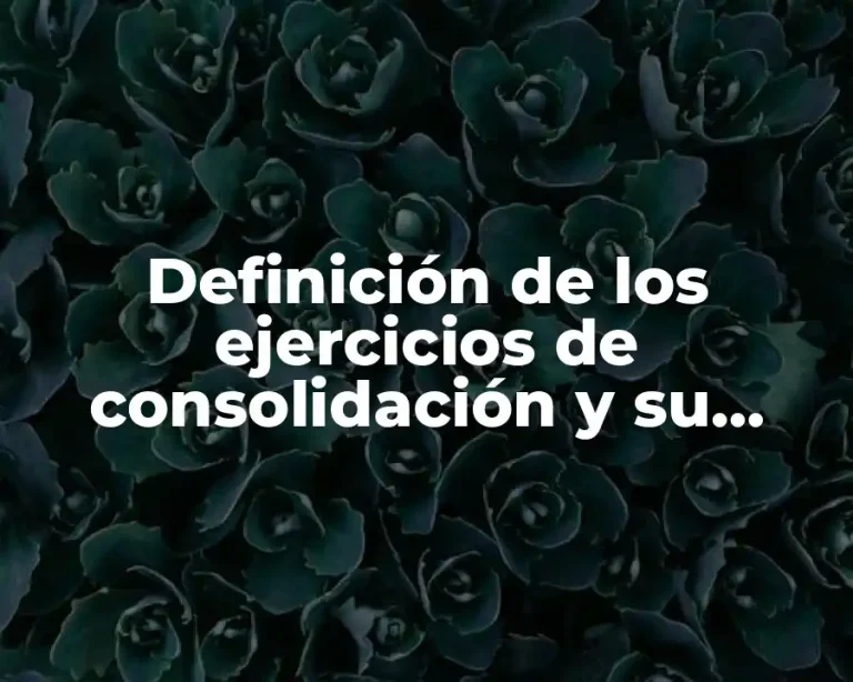 Definición de los ejercicios de consolidación y su aplicación