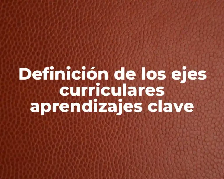 Definición de los ejes curriculares aprendizajes clave
