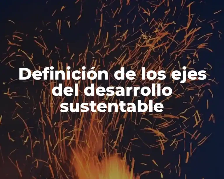 Definición de los ejes del desarrollo sustentable
