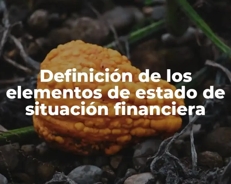 Definición de los elementos de estado de situación financiera