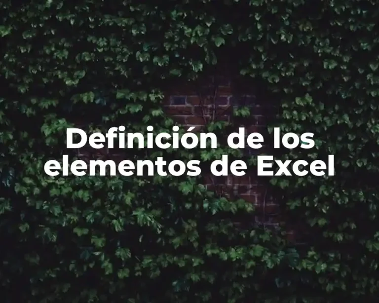 Definición de los elementos de Excel