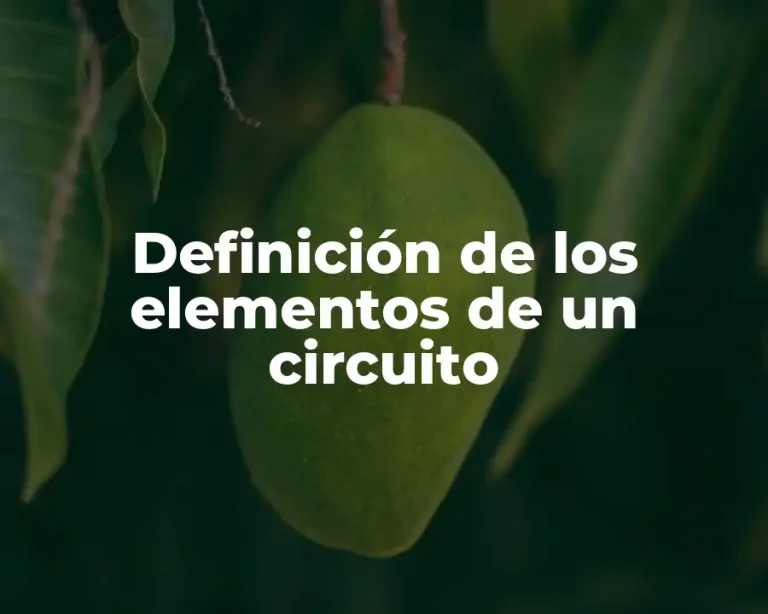 Definición de los elementos de un circuito