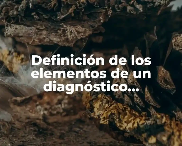 Definición de los elementos de un diagnóstico organizacional