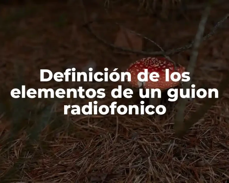 Definición de los elementos de un guion radiofonico