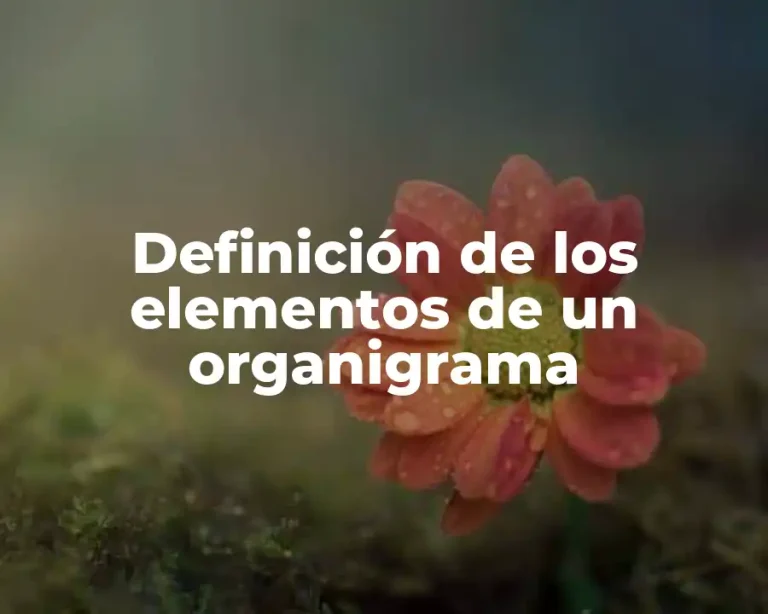 Definición de los elementos de un organigrama
