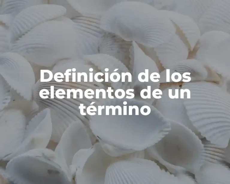 Definición de los elementos de un término