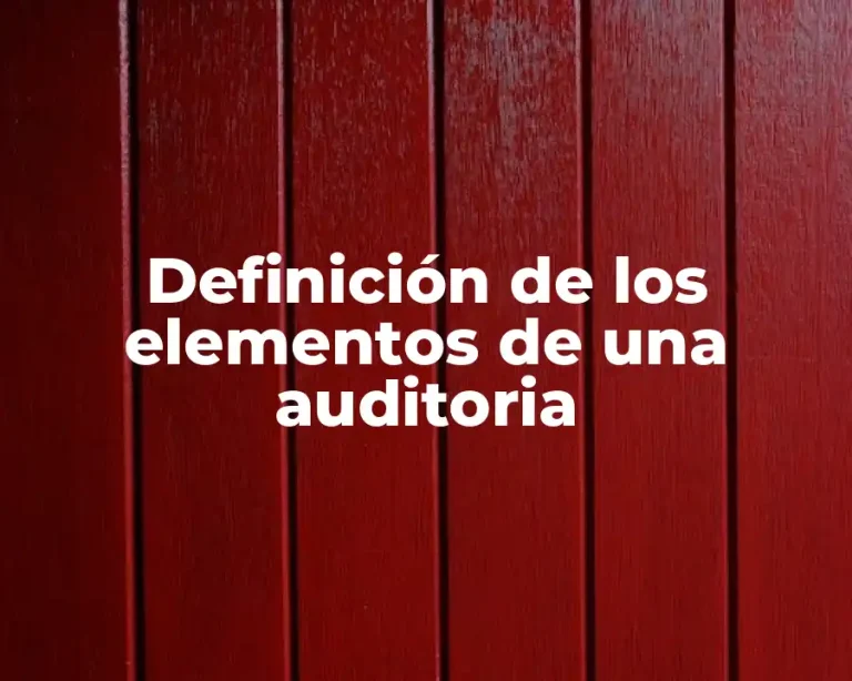 Definición de los elementos de una auditoria