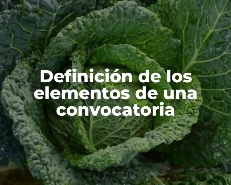 Definición de los elementos de una convocatoria