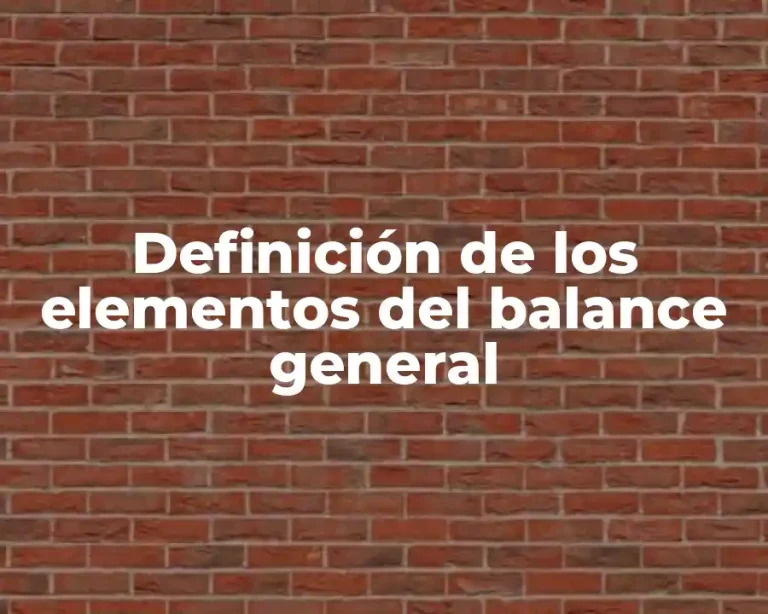 Definición de los elementos del balance general