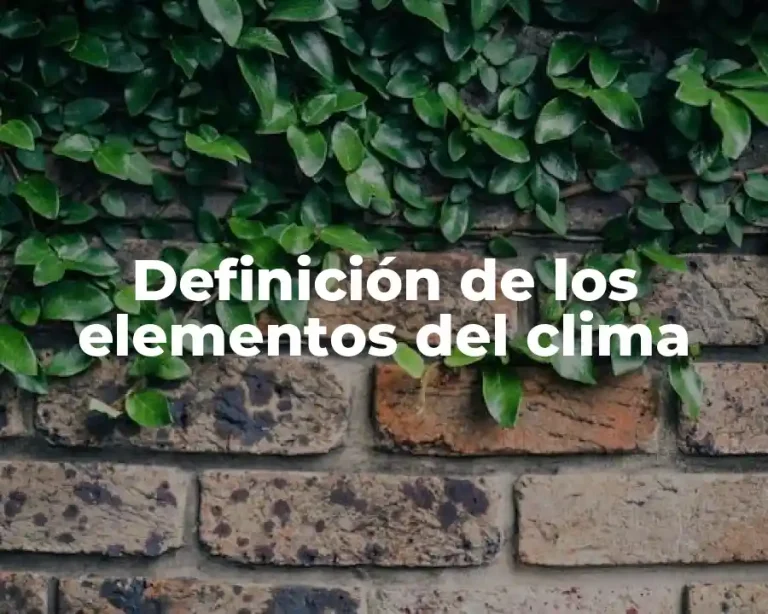 Definición de los elementos del clima