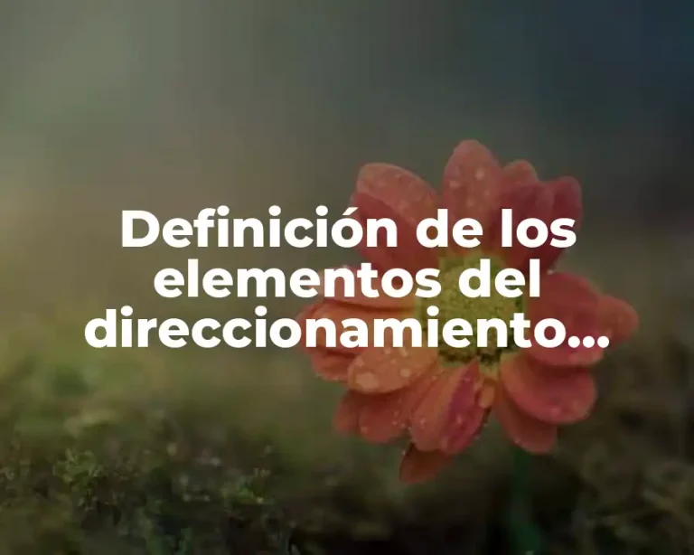 Definición de los elementos del direccionamiento estratégico