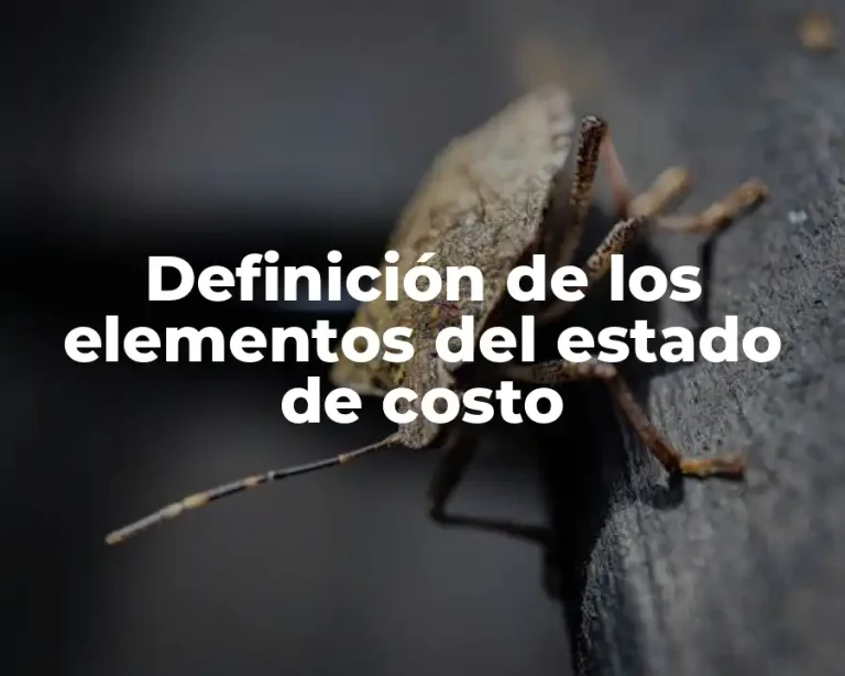 Definición de los elementos del estado de costo