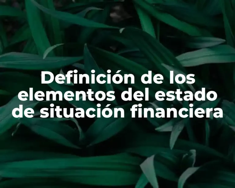 Definición de los elementos del estado de situación financiera
