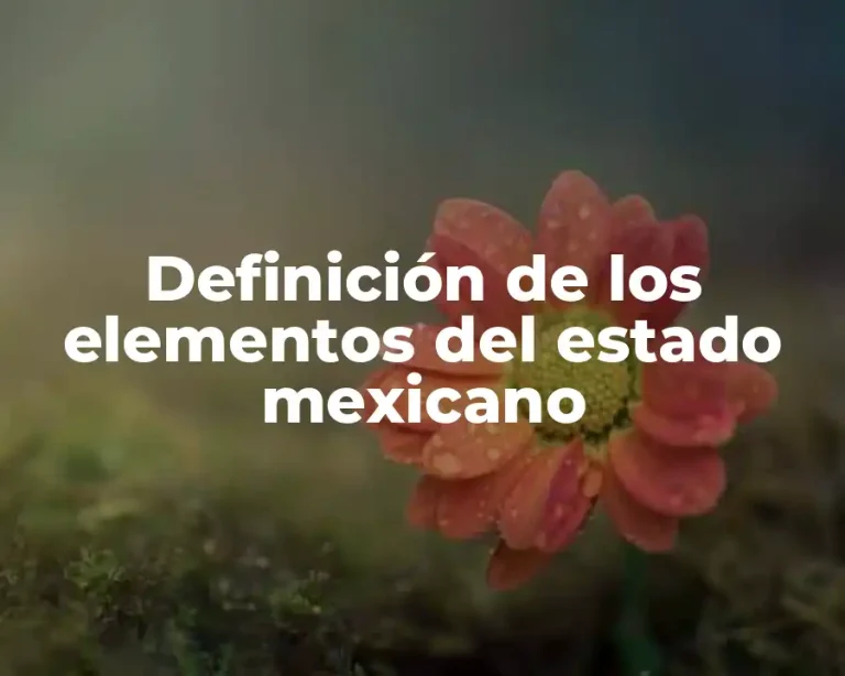 Definición de los elementos del estado mexicano