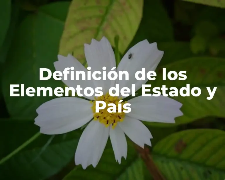Definición de los Elementos del Estado y País