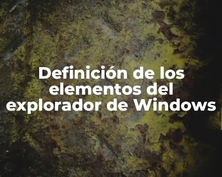 Definición de los elementos del explorador de Windows