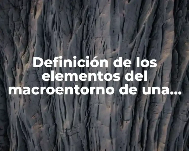 Definición de los elementos del macroentorno de una empresa