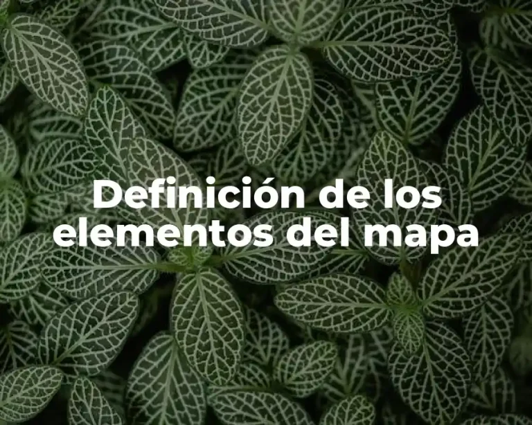 Definición de los elementos del mapa