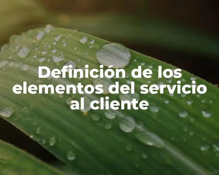 Definición de los elementos del servicio al cliente