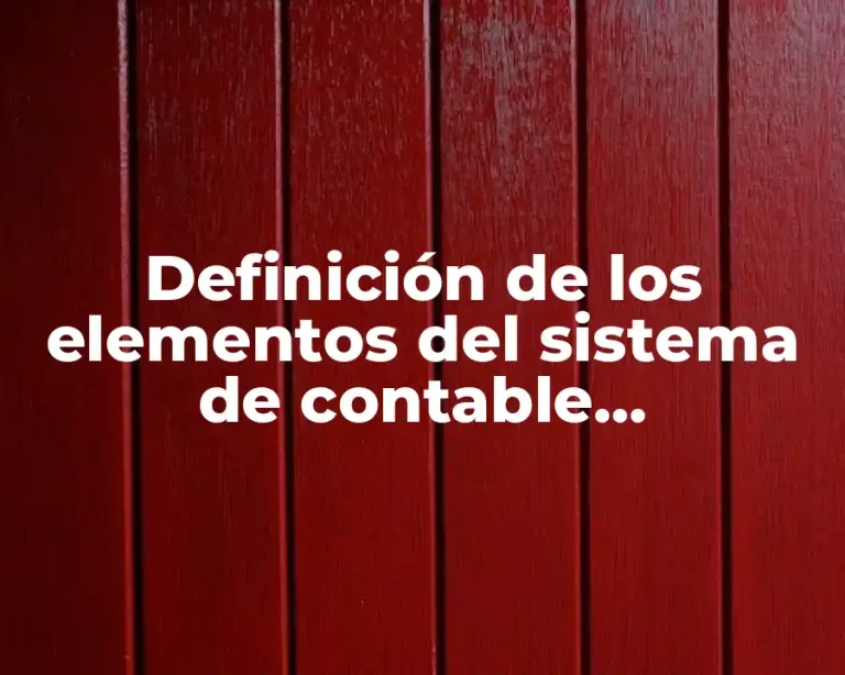 Definición de los elementos del sistema de contable gubernamental