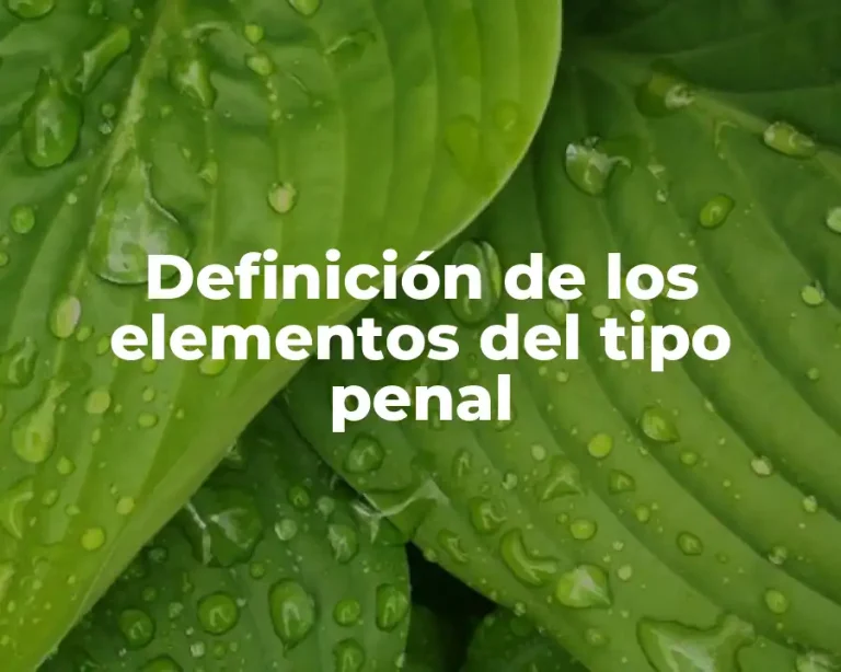 Definición de los elementos del tipo penal