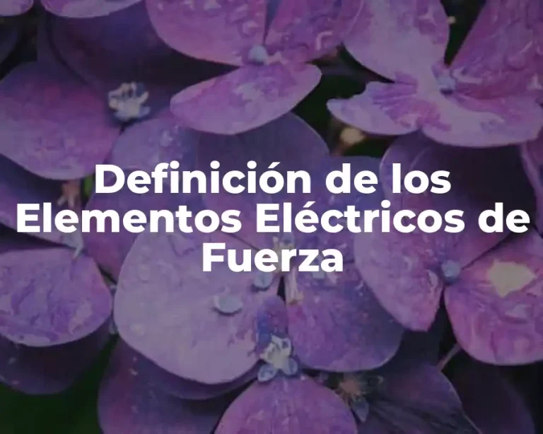 Definición de los Elementos Eléctricos de Fuerza