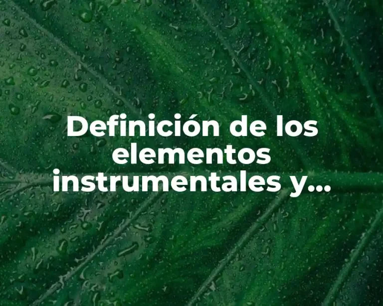 Definición de los elementos instrumentales y escenicos