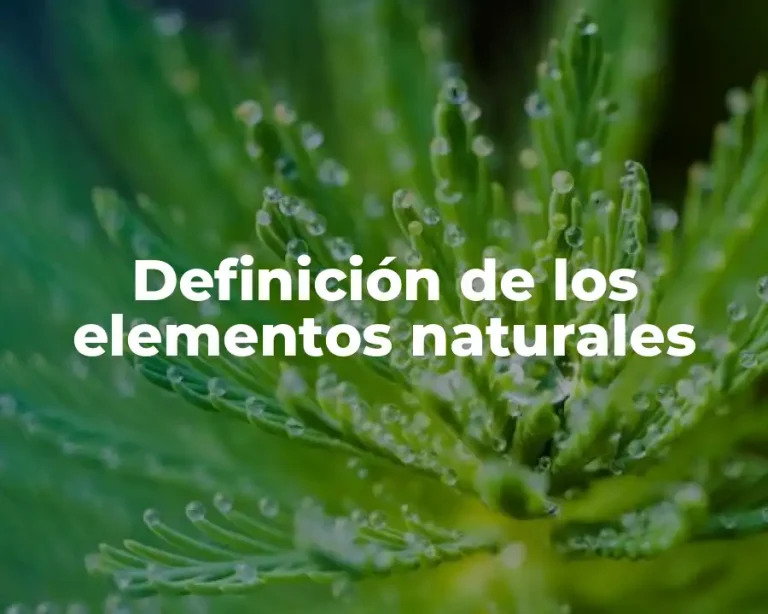 Definición de los elementos naturales