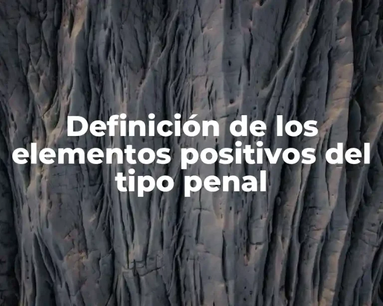 Definición de los elementos positivos del tipo penal