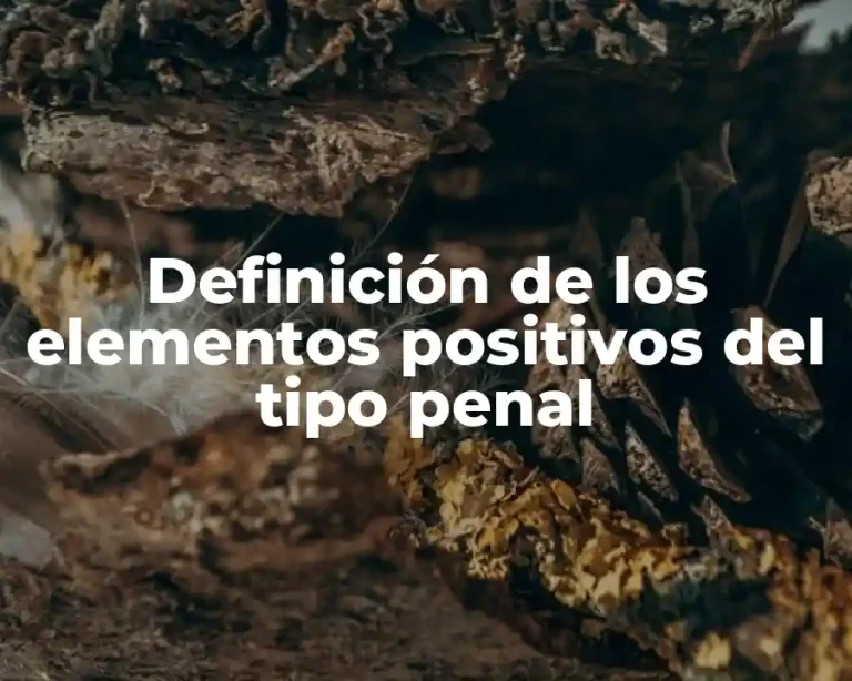 Definición de los elementos positivos del tipo penal