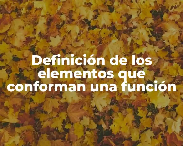 Definición de los elementos que conforman una función