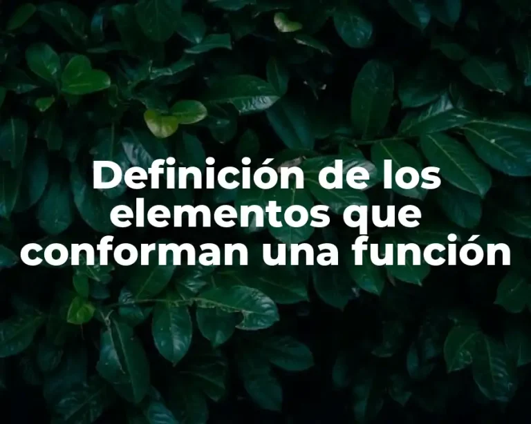 Definición de los elementos que conforman una función