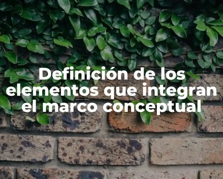 Definición de los elementos que integran el marco conceptual