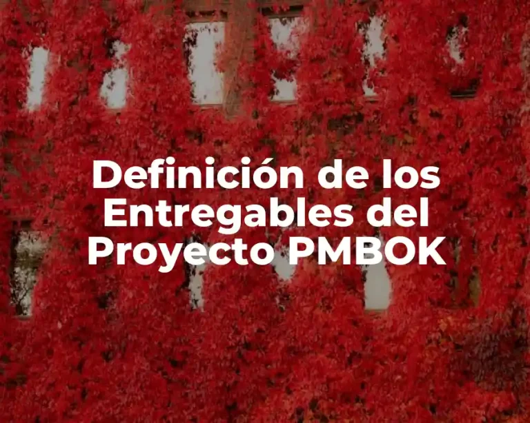 Definición de los Entregables del Proyecto PMBOK
