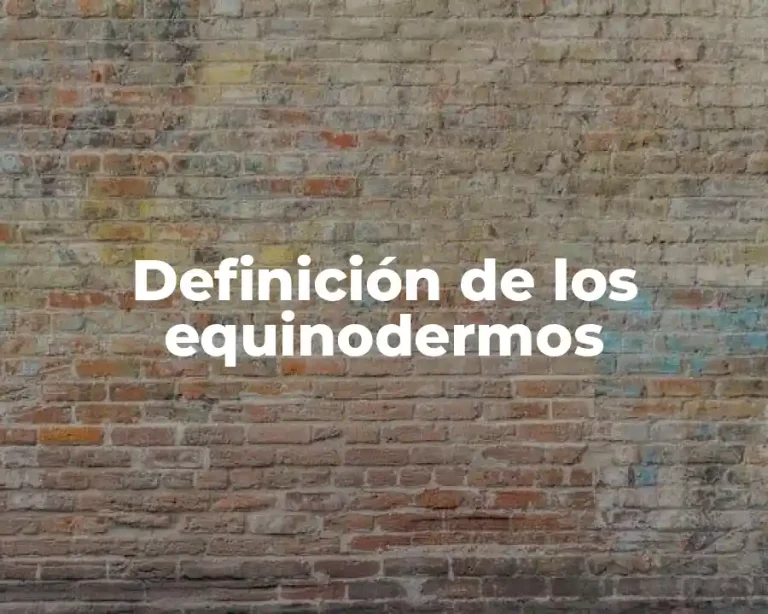 Definición de los equinodermos