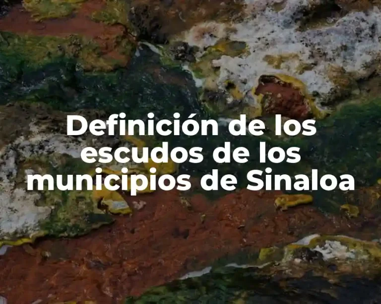 Definición de los escudos de los municipios de Sinaloa