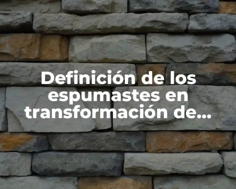 Definición de los espumastes en transformación de plástico