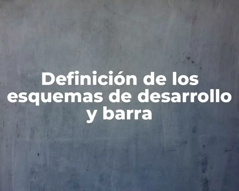 Definición de los esquemas de desarrollo y barra