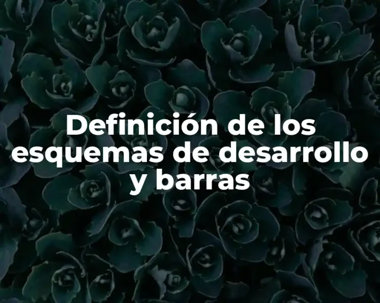 Definición de los esquemas de desarrollo y barras