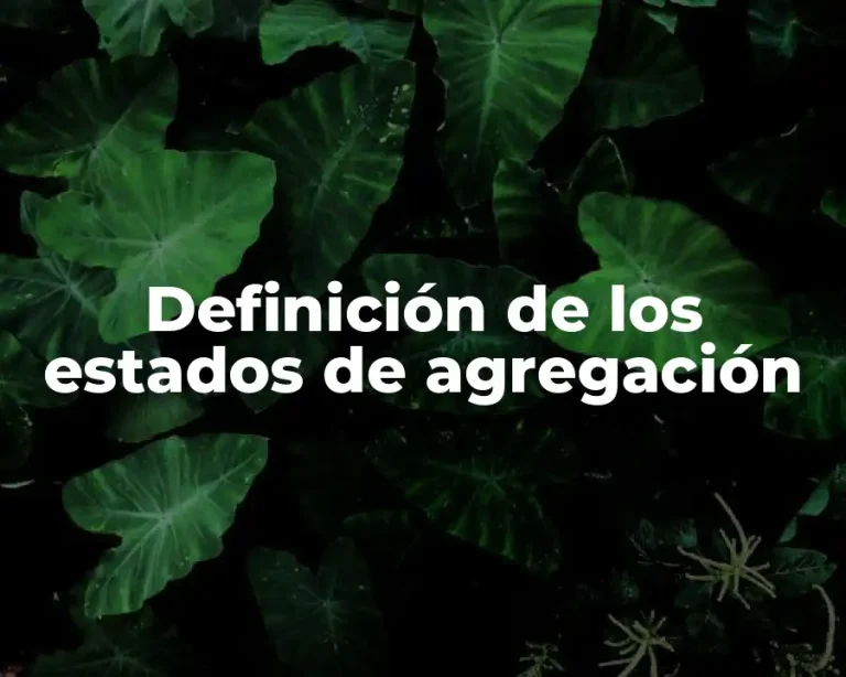 Definición de los estados de agregación