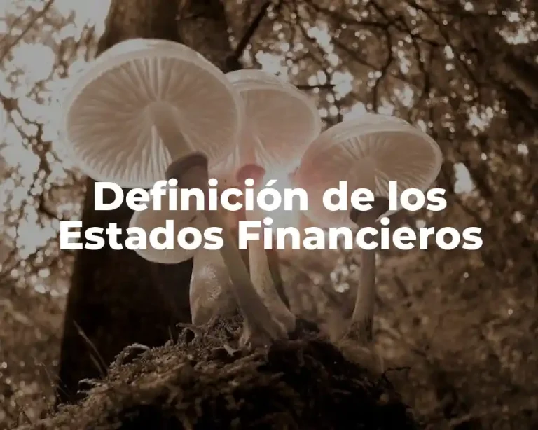 Definición de los Estados Financieros