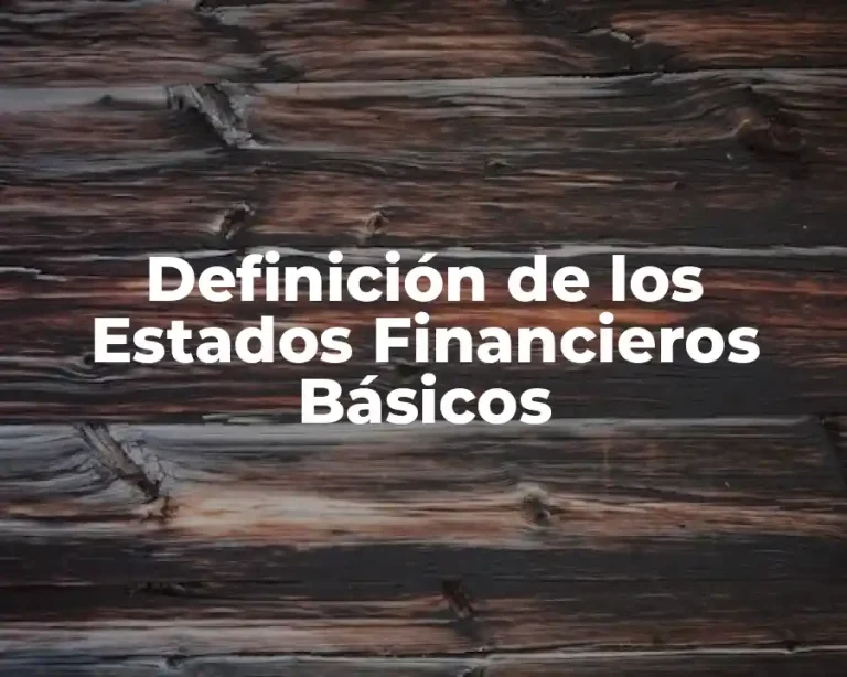 Definición de los Estados Financieros Básicos