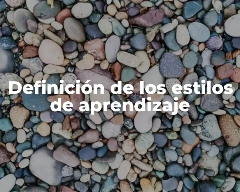 Definición de los estilos de aprendizaje