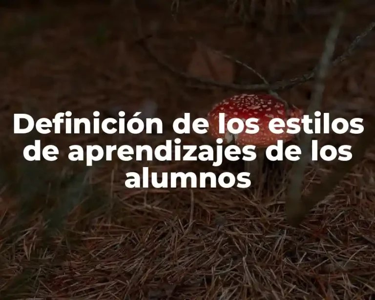 Definición de los estilos de aprendizajes de los alumnos