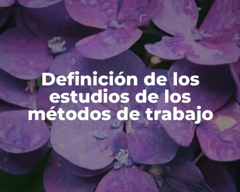Definición de los estudios de los métodos de trabajo